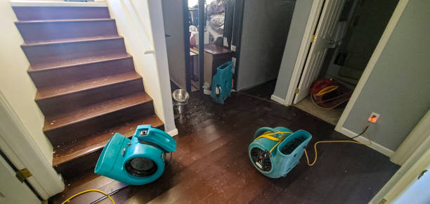 Best Basement water damage restoration  in Baywood Park, CA