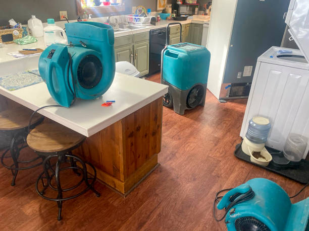 Best Residential water damage restoration  in Baywood Park, CA