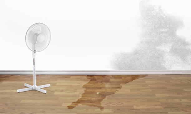 Best Water damage contractors near me  in Baywood Park, CA