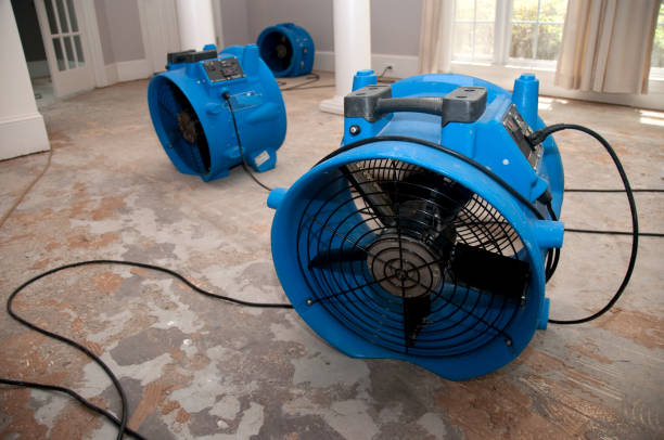 Best Water damage restoration process  in Baywood Park, CA