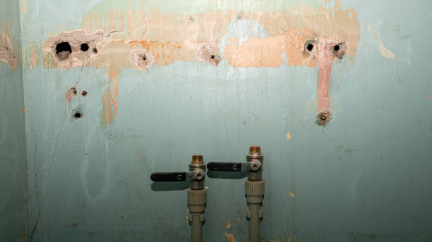 Best Commercial water damage restoration  in Baywood Park, CA