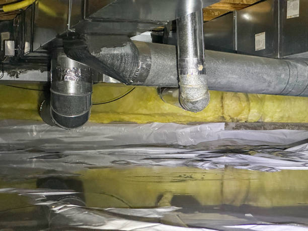 Best Local water damage restoration  in Baywood Park, CA