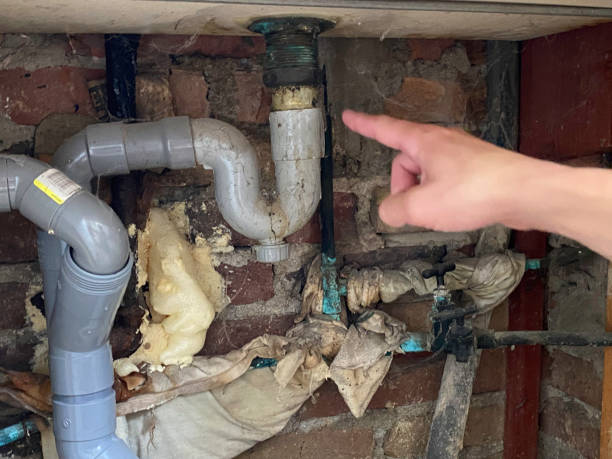 Best 24-hour water damage restoration  in Baywood Park, CA