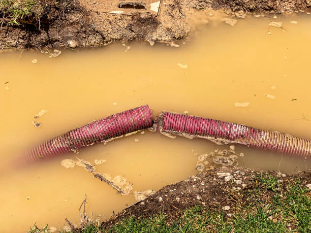 Best Water damage restoration company  in Baywood Park, CA