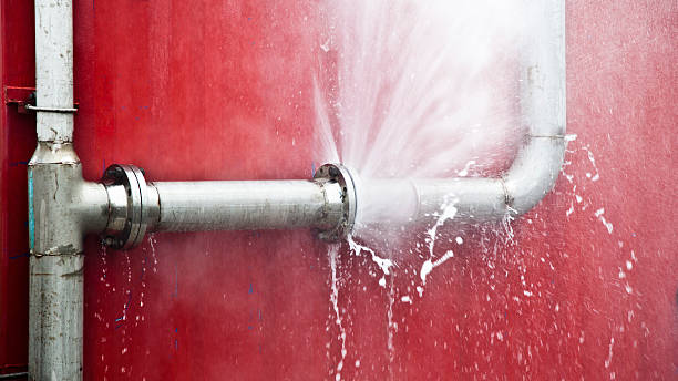 Best Flooded house restoration  in Baywood Park, CA